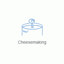 Cheese Making 