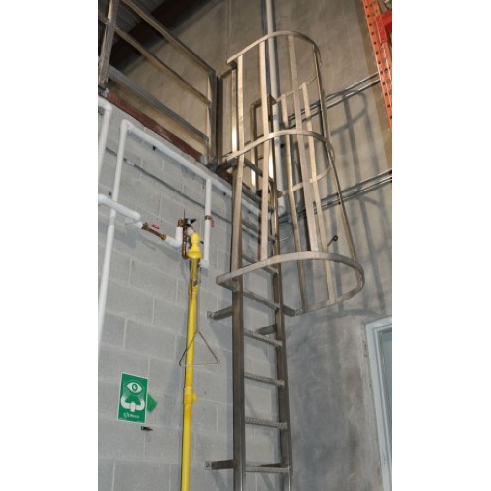 Stainless Ladder With Safety Cage