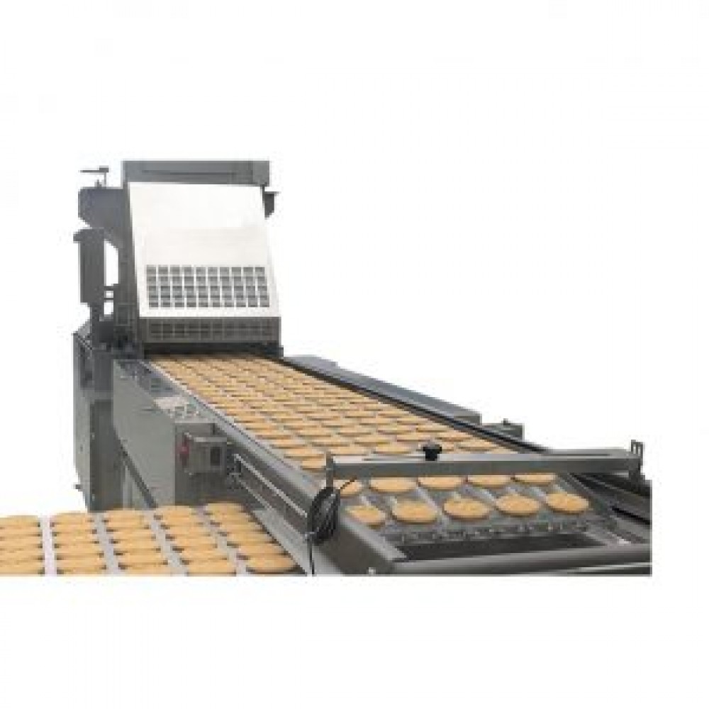Automatic Tray Loading Conveyor